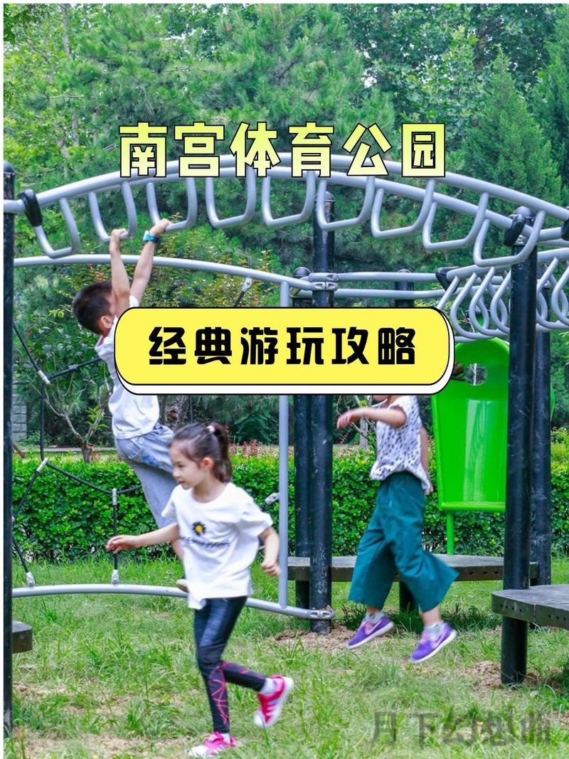 探索南宫体育最新网站：体验全新功能与服务