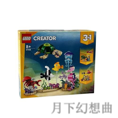 探索乐鱼官方链接的奇妙世界